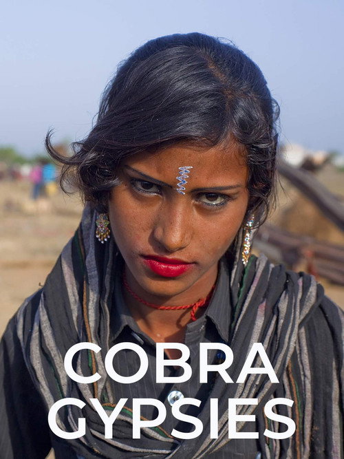 Cobra Gypsies (2015) movie poster