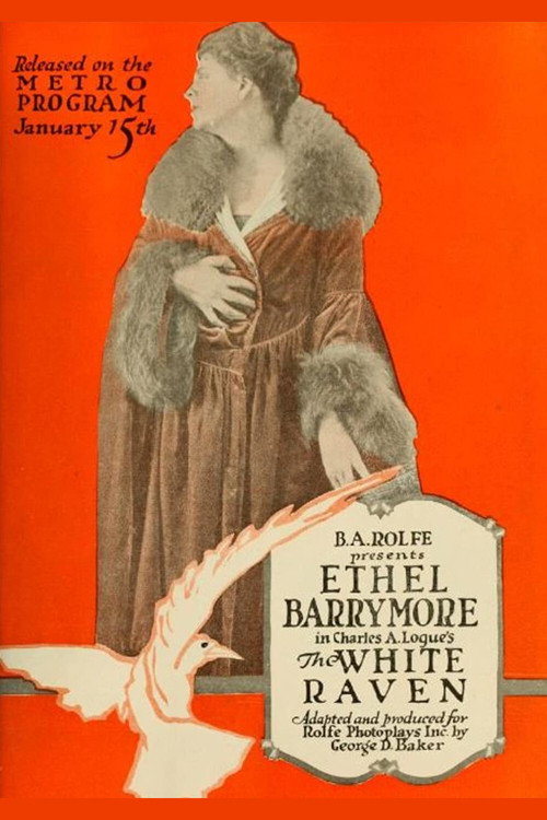 The White Raven (1917) movie poster