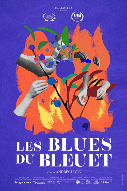 The Blueberry Blues (2026) movie poster