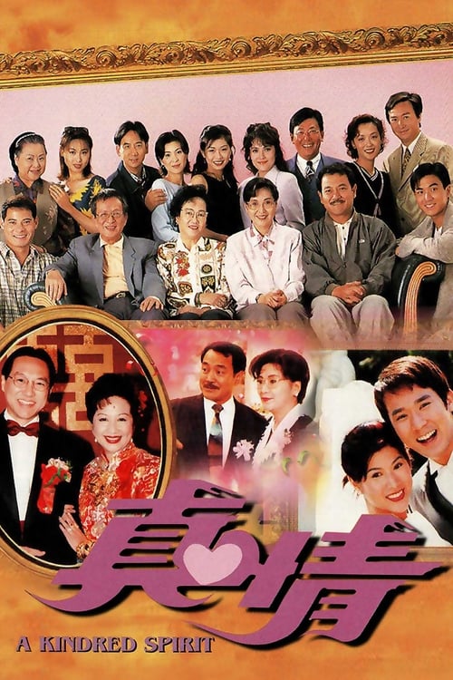 A Kindred Spirit (1995) TV show poster