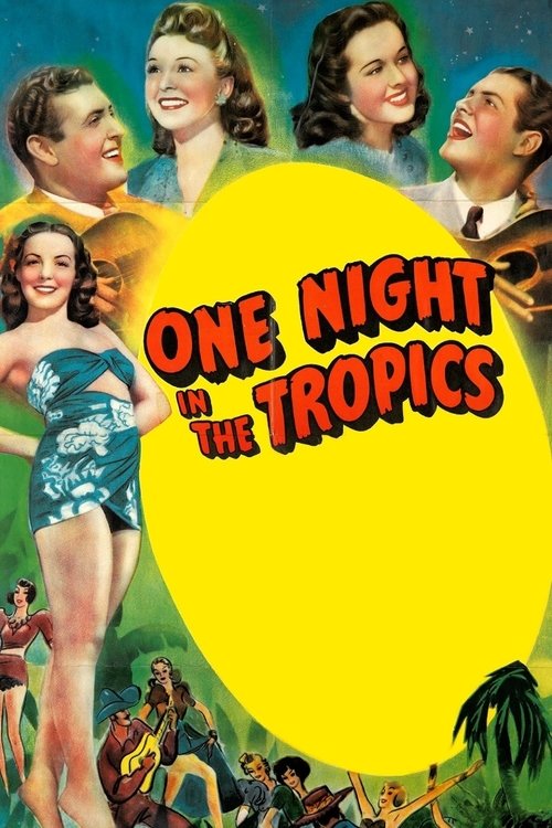 One Night in the Tropics (1940) movie poster
