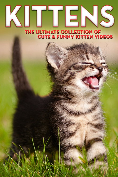 Kittens The Ultimate Collection of Cute & Funny Kitten Videos (2006) movie poster