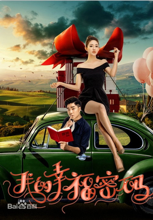 我的幸福密码 (2017) movie poster