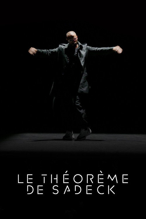 Le Théorème de Sadeck (2024) movie poster