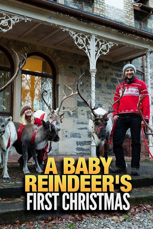 A Baby Reindeer's First Christmas (2020) movie poster