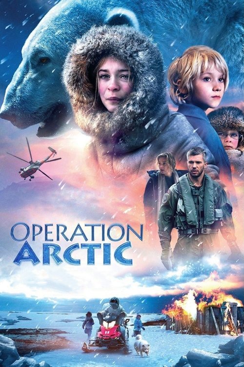 Operation Arctic (2014) movie poster