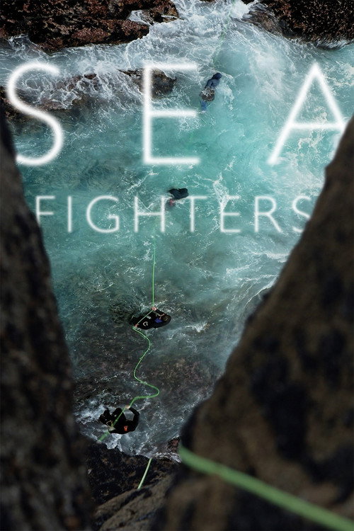 Seafighters (2017) movie poster