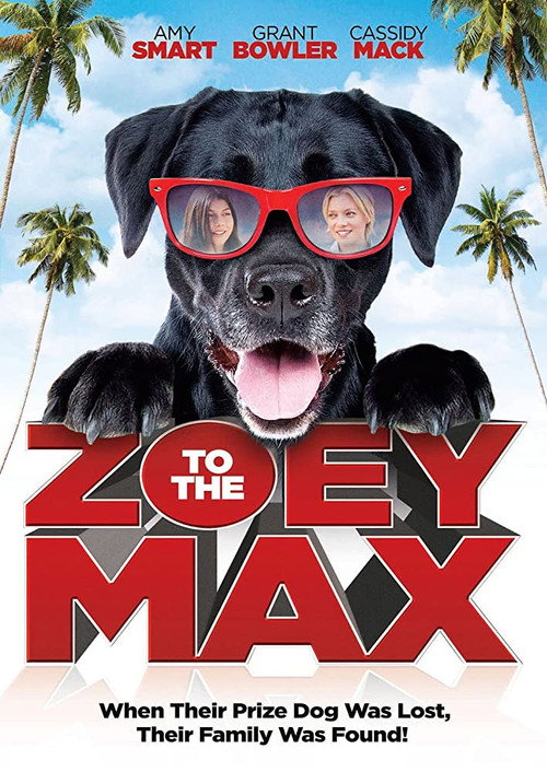 Zoey to the Max (2015) movie poster