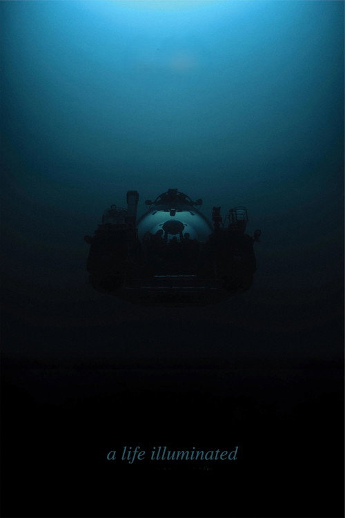 A Life Illuminated (2025) movie poster