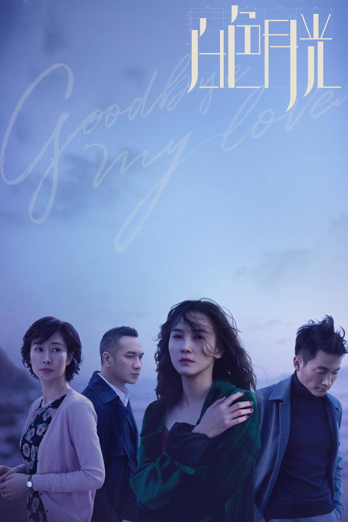 Goodbye, My Love (2020) TV show poster