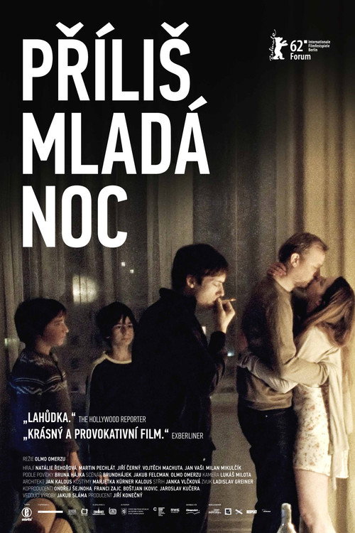 A Night Too Young (2012) movie poster