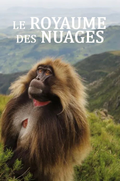 Le royaume des nuages (2026) movie poster