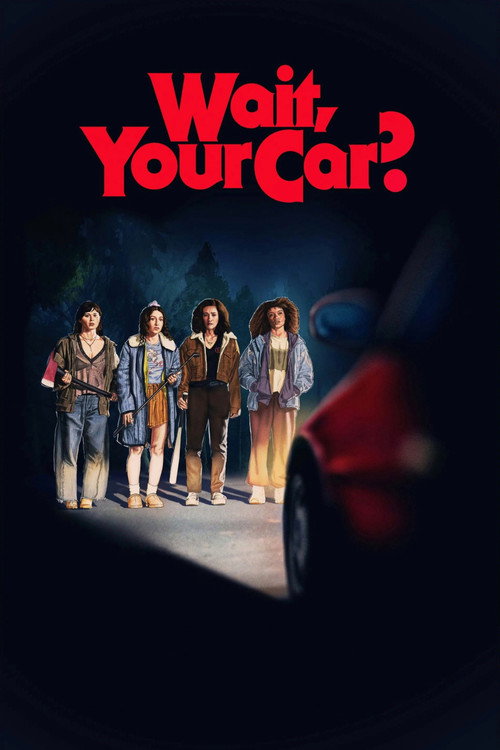 Wait, Your Car? (2025) movie poster