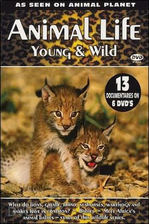 Animal Life: Young & Wild (2002) TV show poster