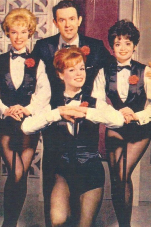 Harry's Girls (1963) TV show poster