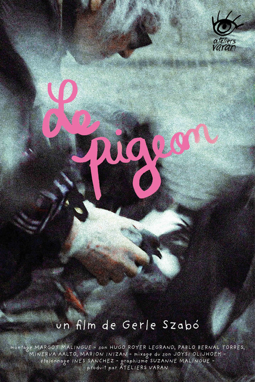 The Pigeon movie poster