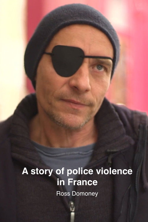 A story of police violence in France (2019) movie poster