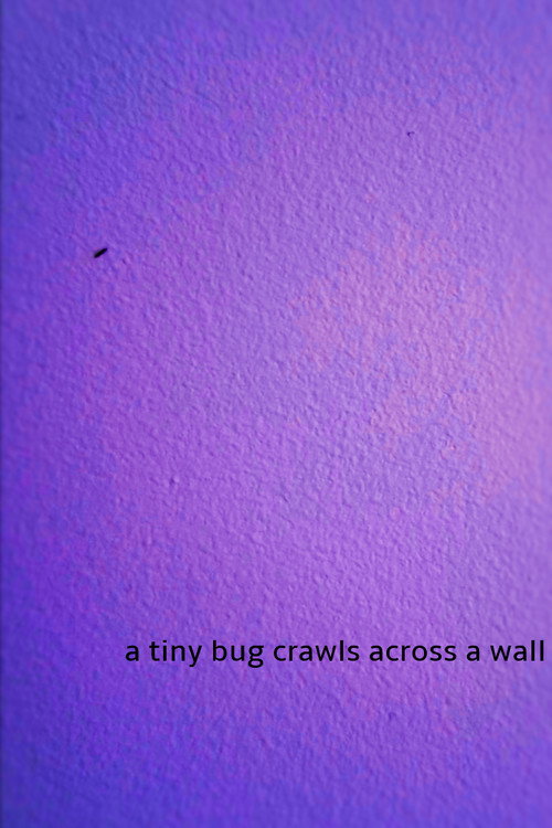 a tiny bug crawls across a wall (2024) movie poster
