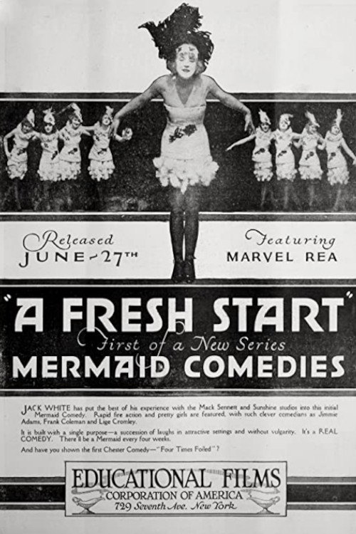 A Fresh Start (1920) movie poster