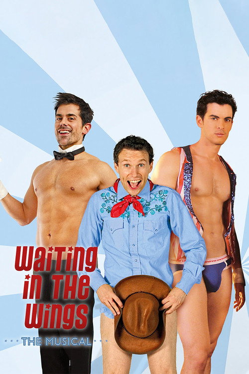 Waiting in the Wings: The Musical (2014) movie poster