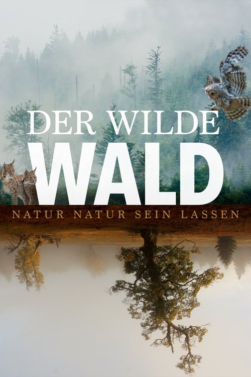 The Wild Forest (2021) movie poster