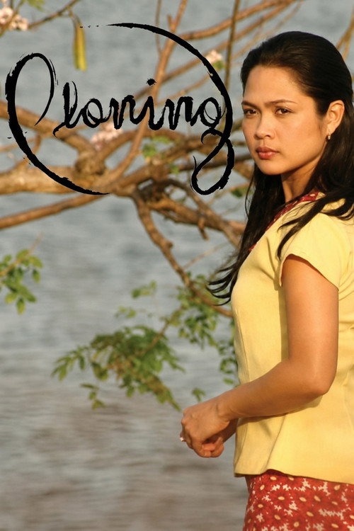 Ploning (2008) movie poster