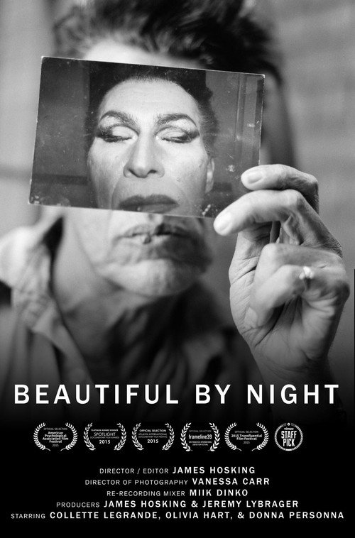 Beautiful by Night (2014) movie poster
