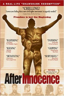 After Innocence (2005) movie poster
