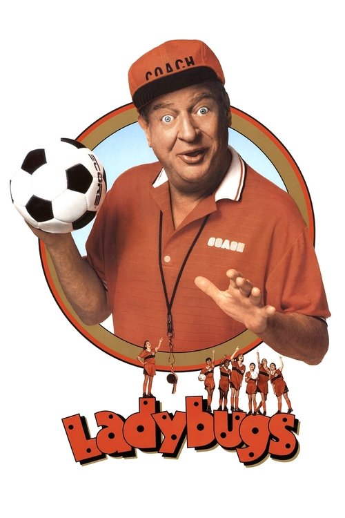 Ladybugs (1992) movie poster
