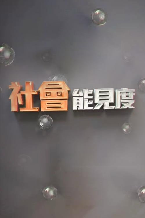 社会能见度 (2003) TV show poster