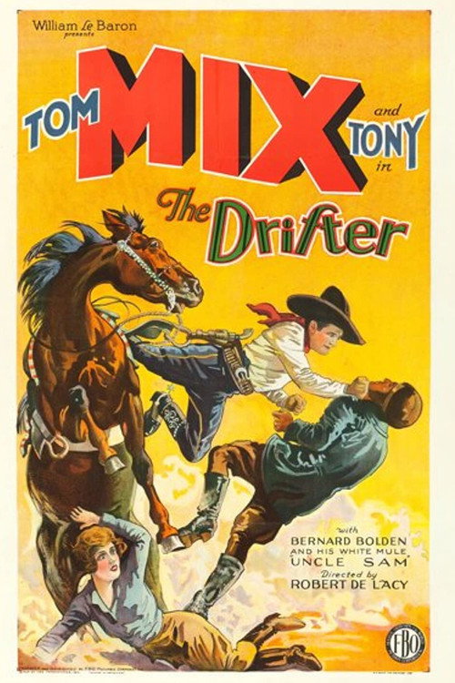 The Drifter (1929) movie poster