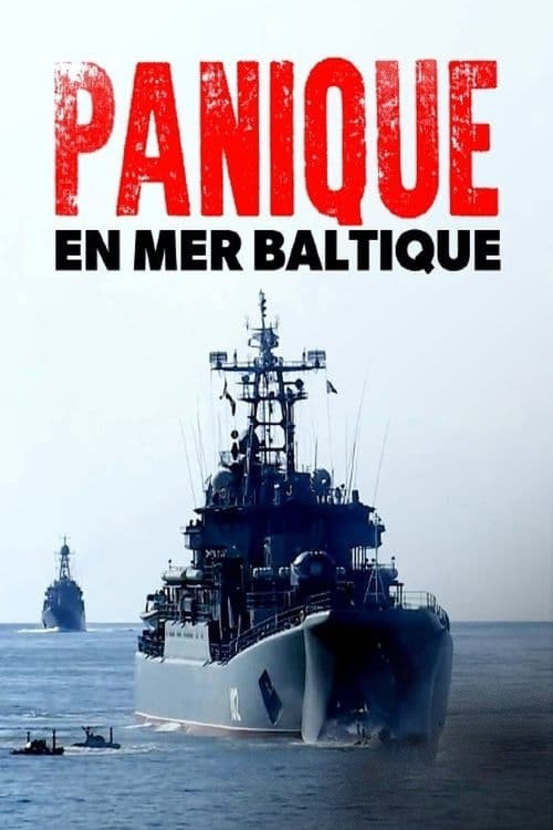 Panic in the baltic (2022) movie poster