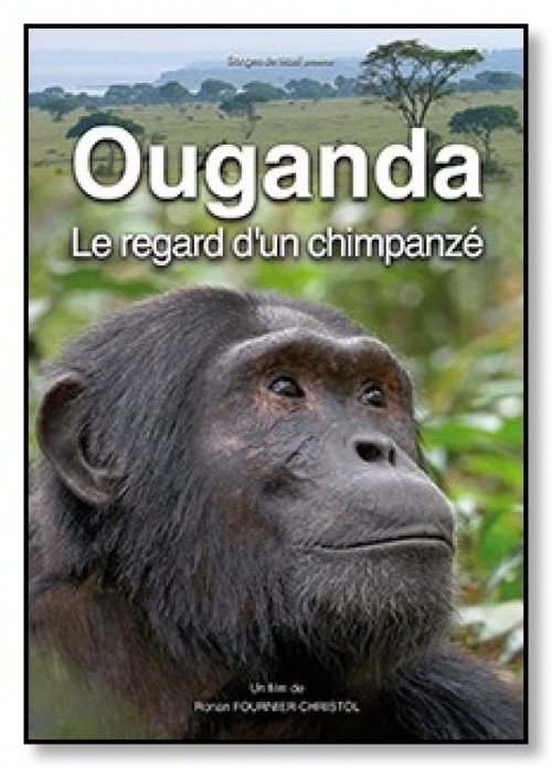 Ouganda, le regard d'un chimpanzé (2019) movie poster