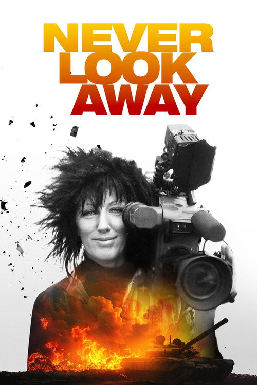 Never Look Away (2024) movie poster