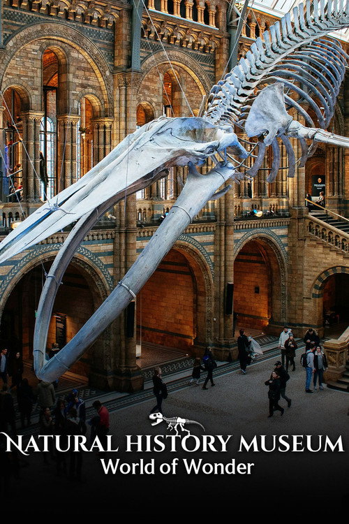 Natural History Museum: World of Wonder (2021) TV show poster