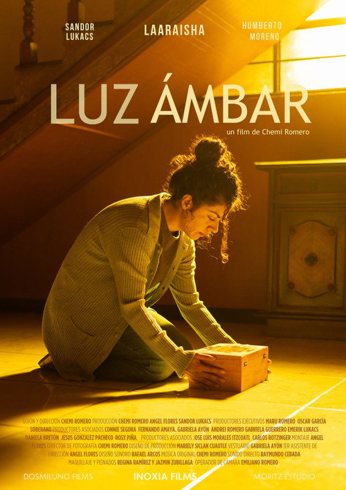 Luz ámbar (2024) movie poster
