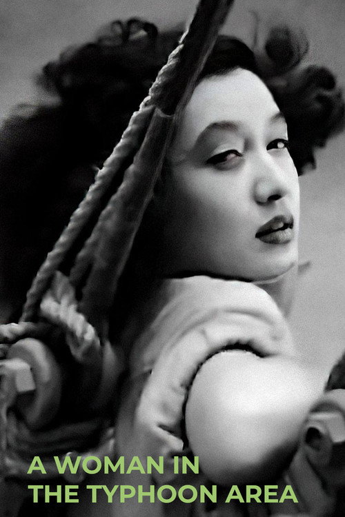 A Woman in the Typhoon Area (1948) movie poster