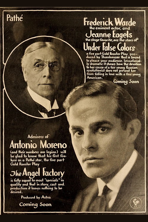 Under False Colors (1917) movie poster