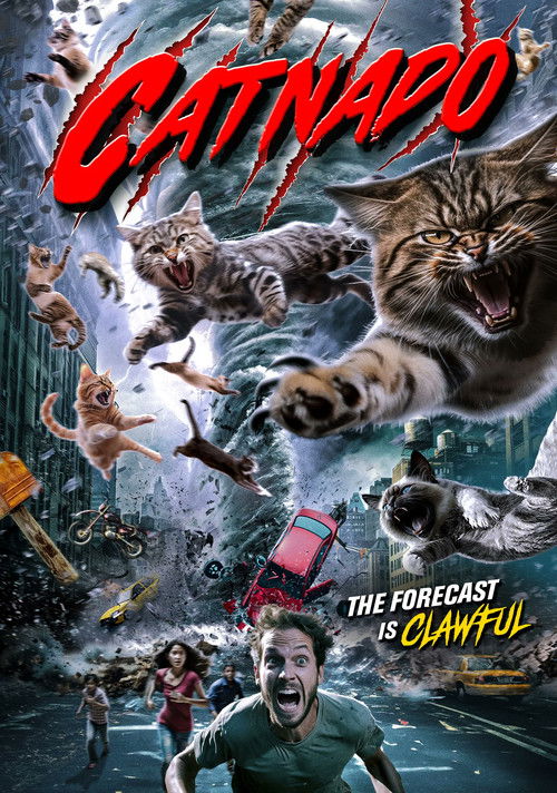 Catnado (2024) movie poster