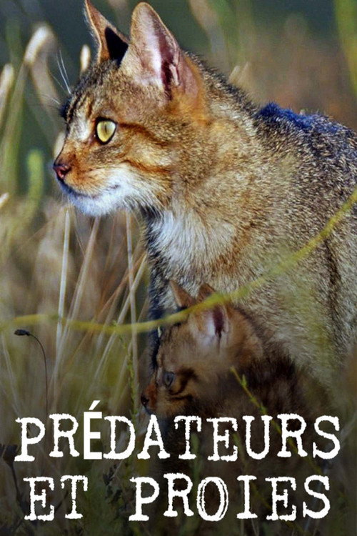 Prédateurs et proies - La faune de la péninsule Ibérique (2022) movie poster