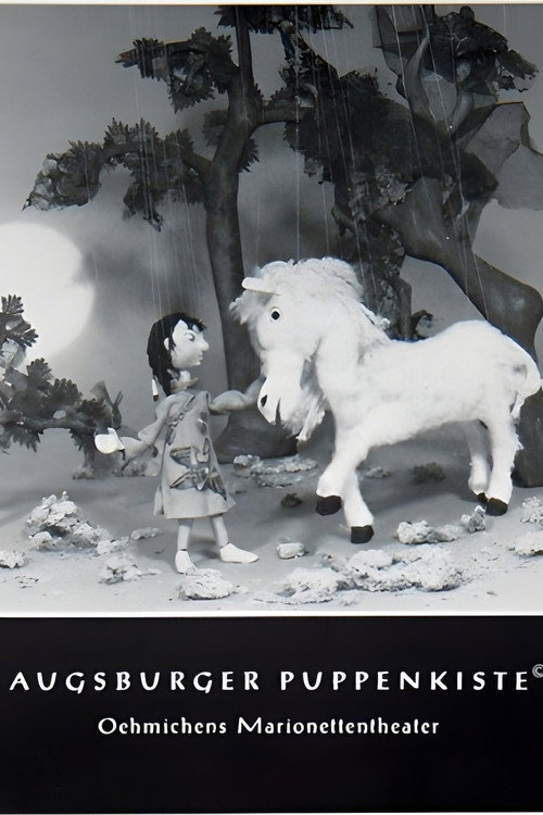 So Hi und das weiße Pferd (1981) movie poster