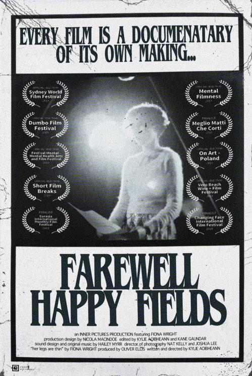 Farewell Happy Fields (2017) movie poster