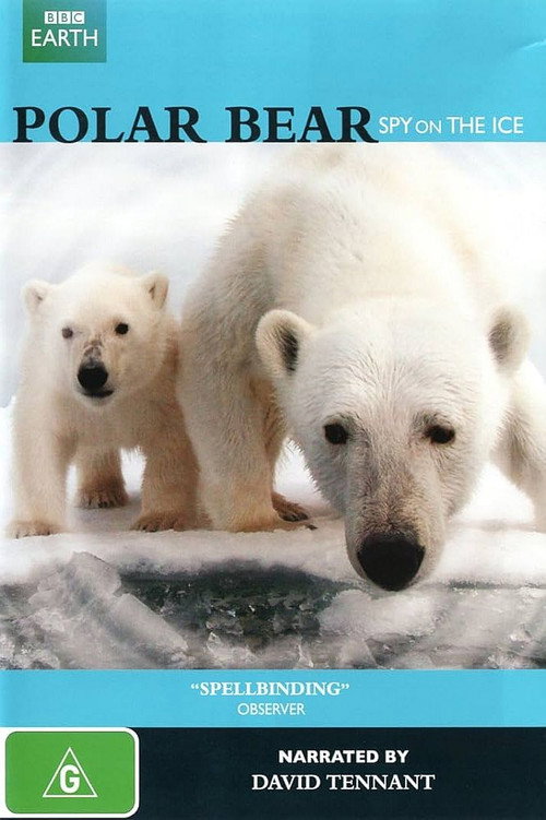 Polar Bear: Spy on the Ice (2011) movie poster