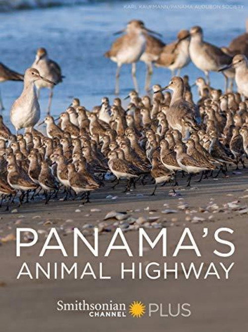 Panama's Animal Highway (2017) movie poster