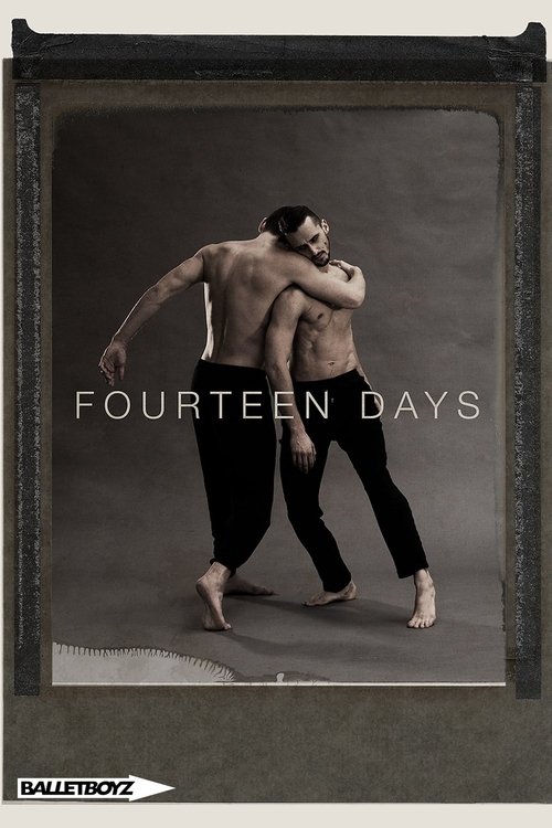 Fourteen Days (2017) movie poster