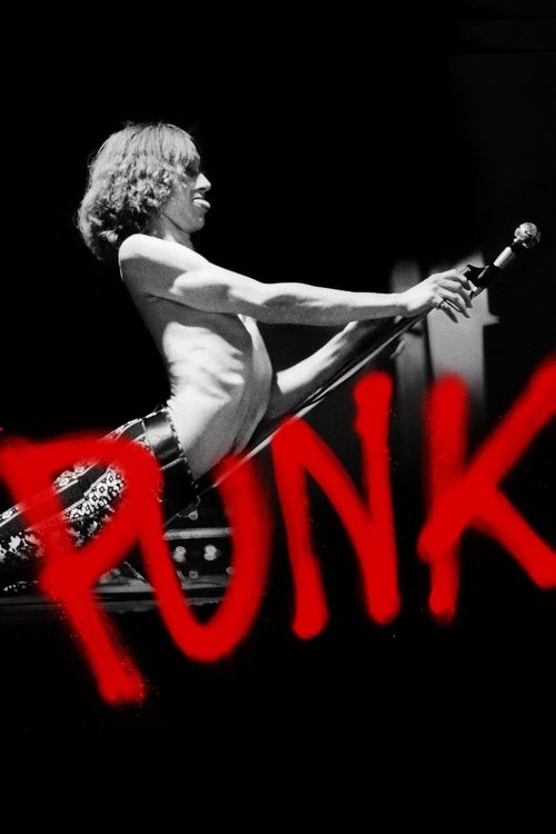 Punk (2019) TV show poster