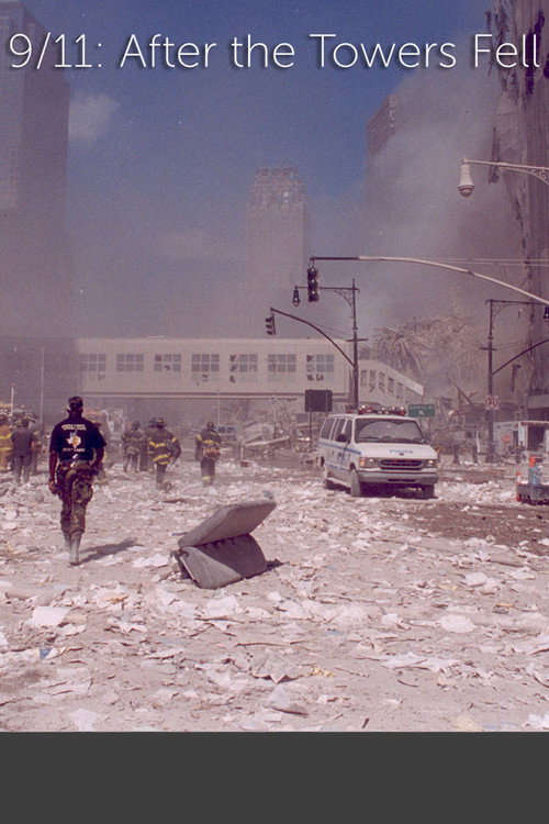 9/11: After The Towers Fell (2010) movie poster