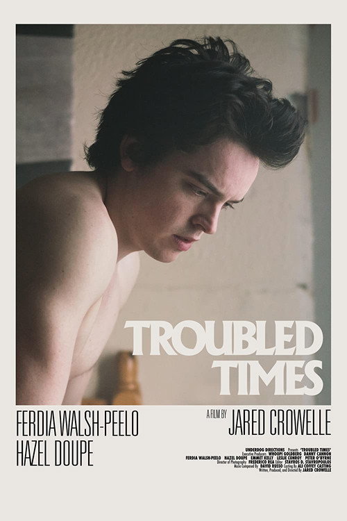 Troubled Times (2020) movie poster