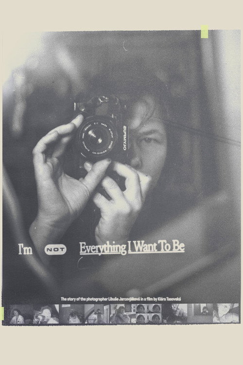 I'm Not Everything I Want to Be (2024) movie poster