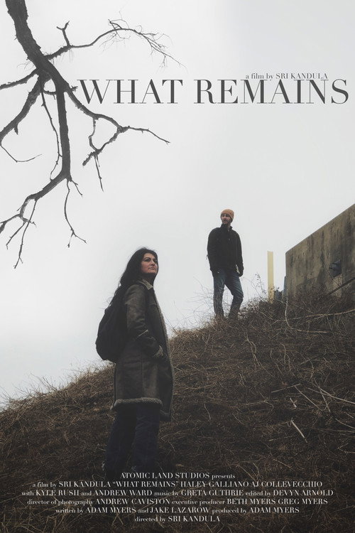 What Remains (2019) movie poster